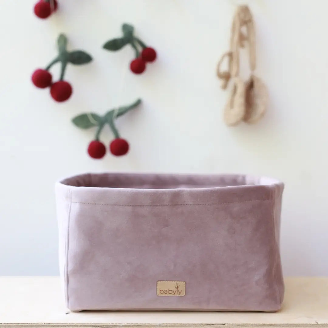 Storage Container for Accessories