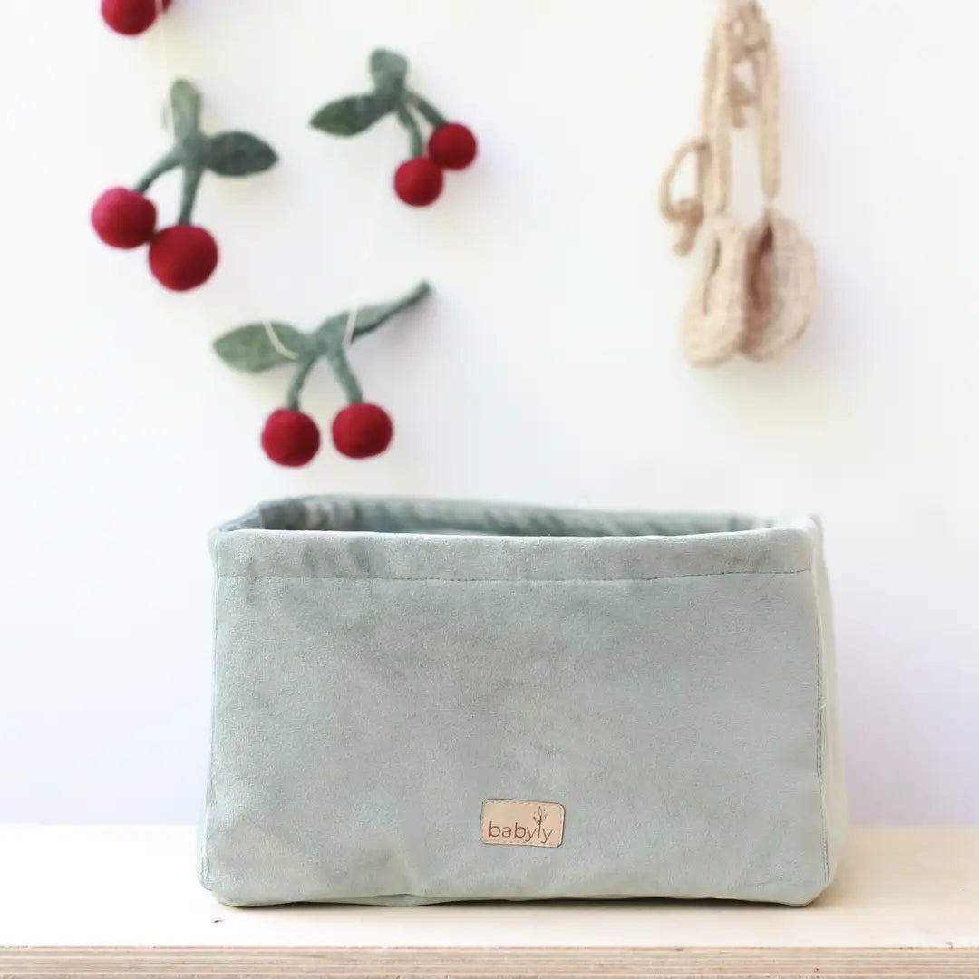 Storage Container for Accessories