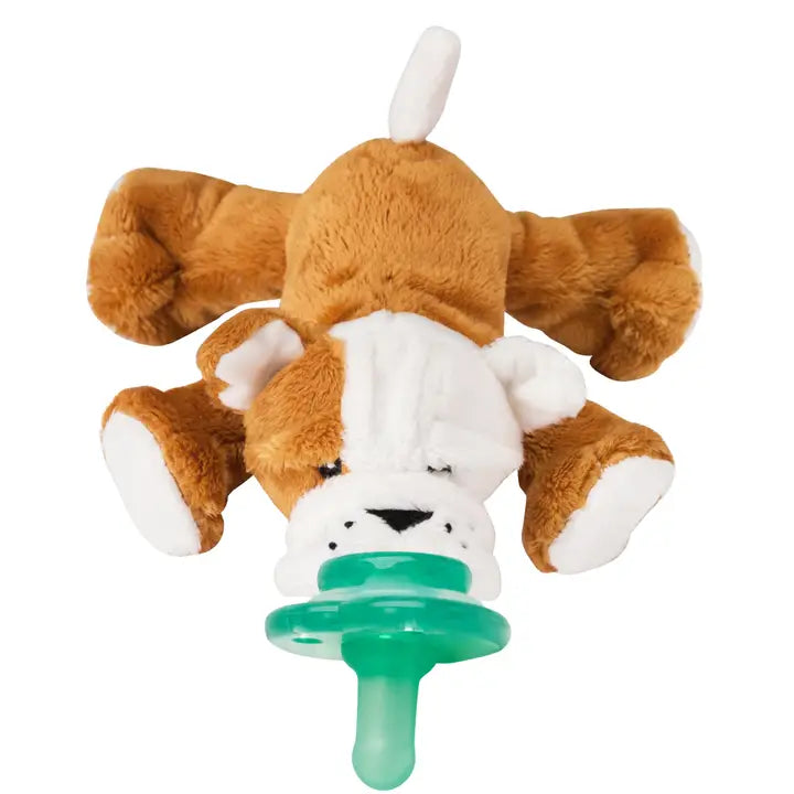 Bull Dog Paci-Plushies Shakies