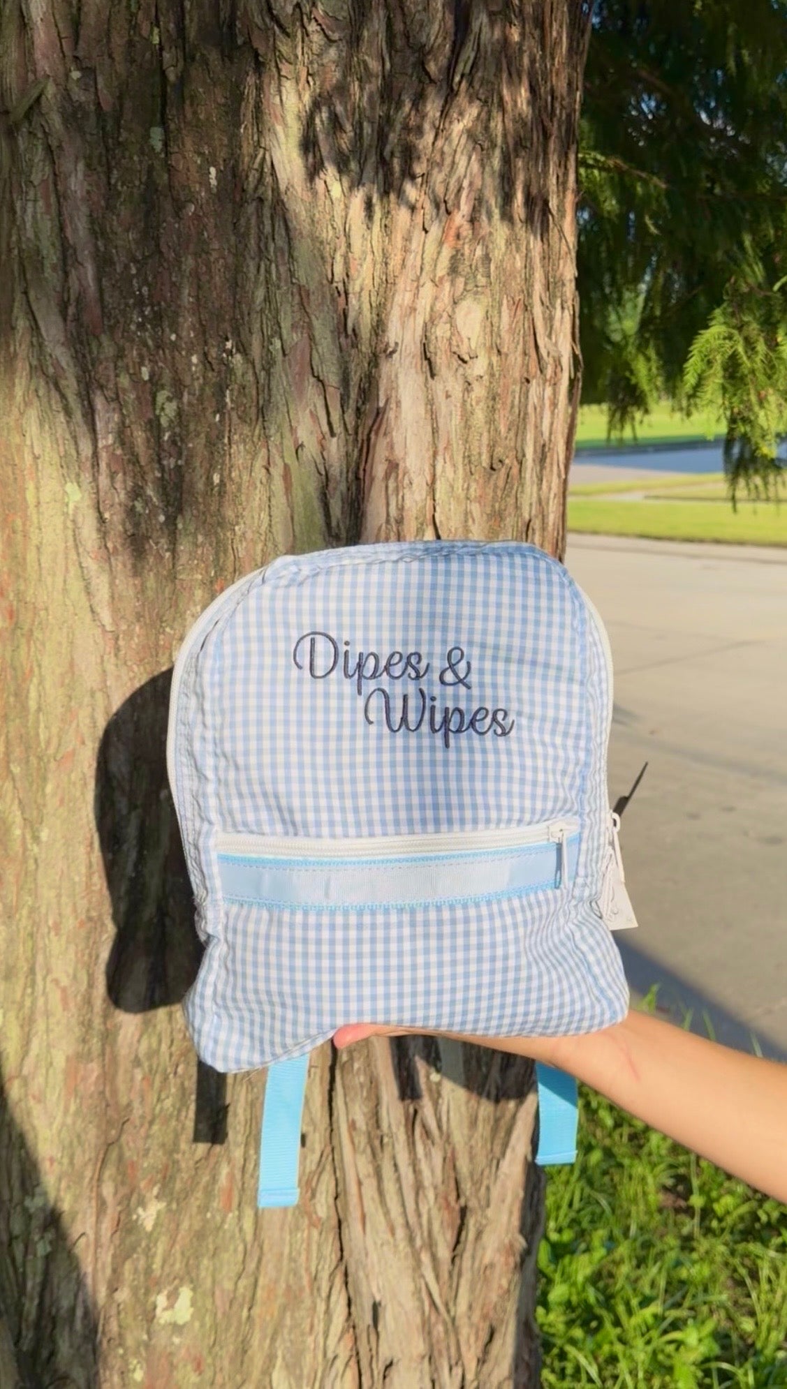 Dipes and Wipes Backpack