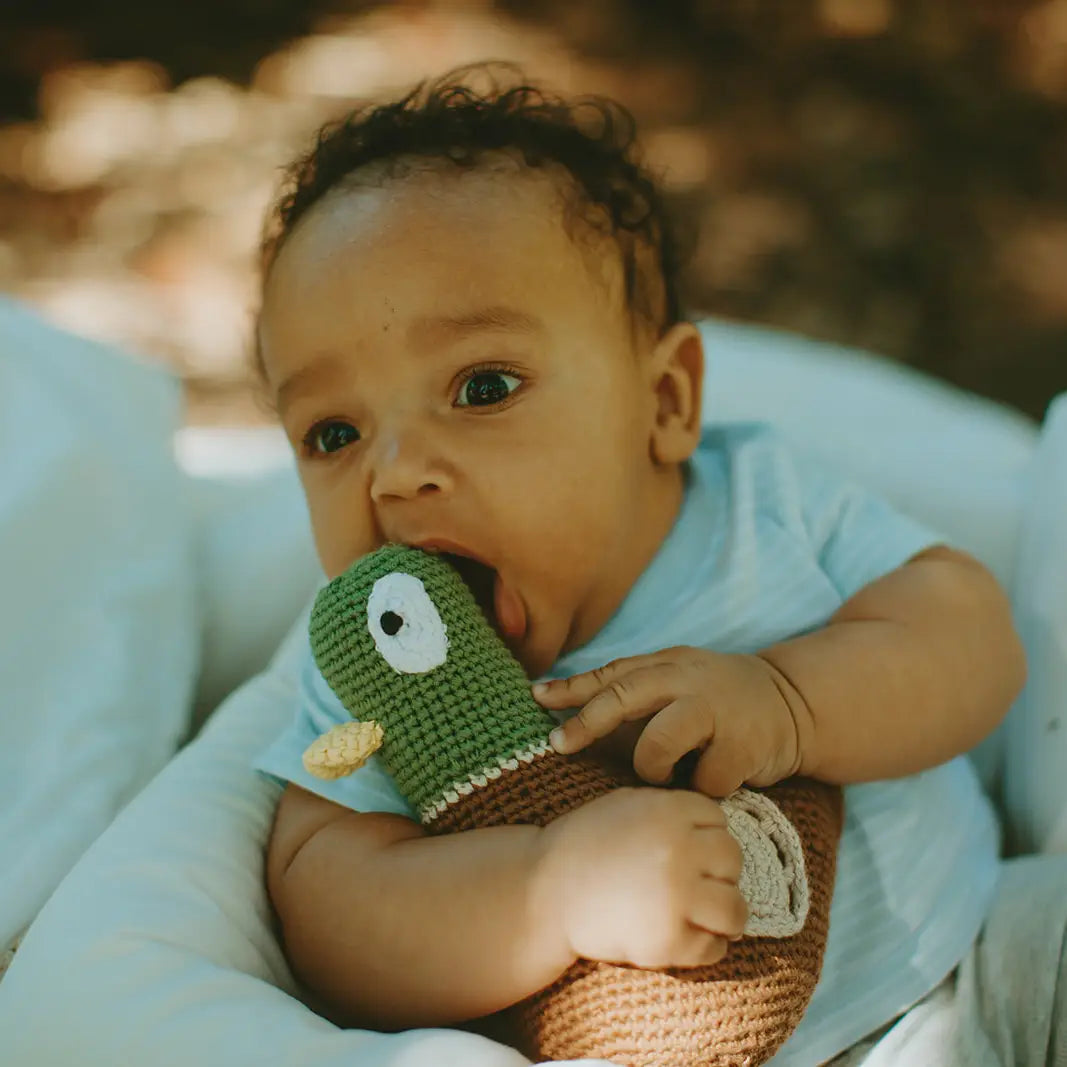 Mallord Duck-Baby Plush Toy