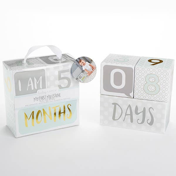 Baby Aspen -Milestone Blocks