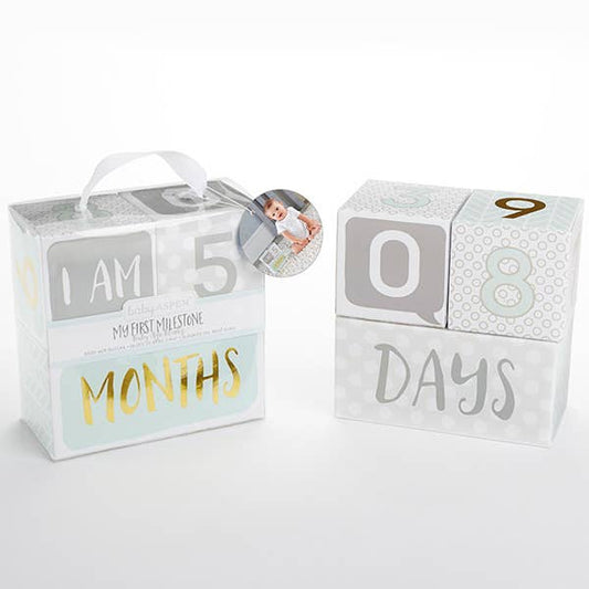 Baby Aspen -Milestone Blocks