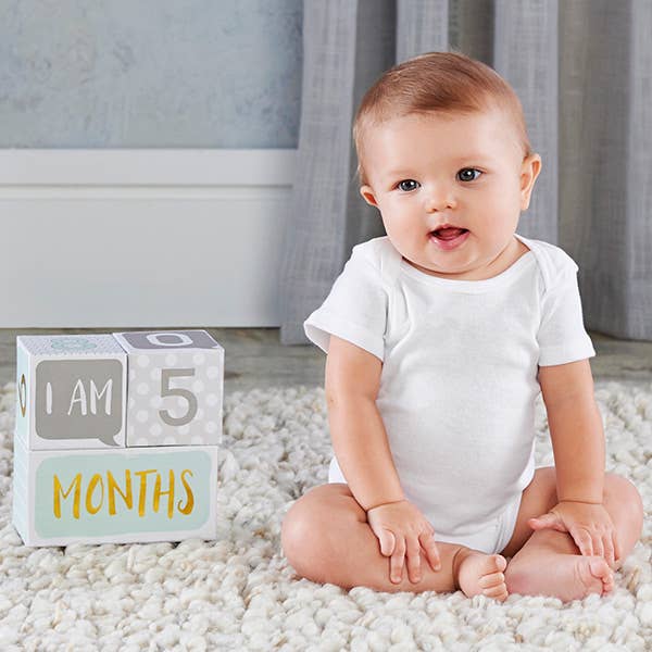 Baby Aspen -Milestone Blocks