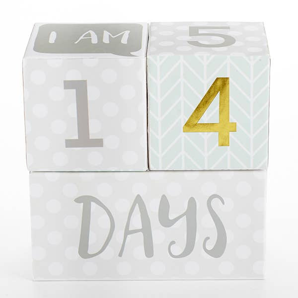 Baby Aspen -Milestone Blocks