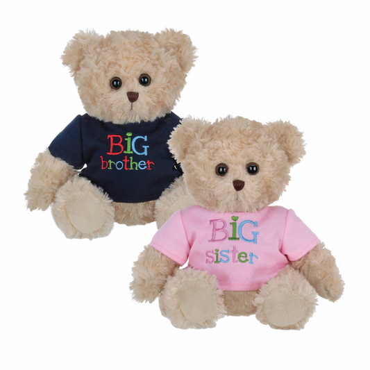 Big Sister, Big Brother Bear